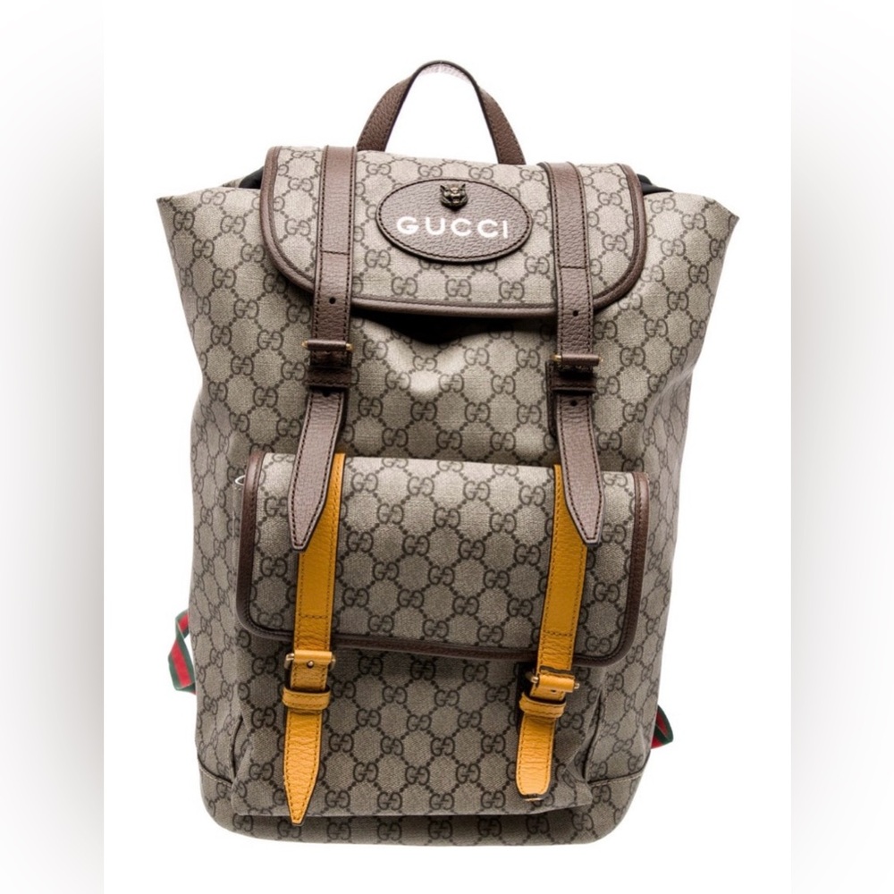 Gucci Brown Backpack with box and dustbag